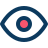 vision